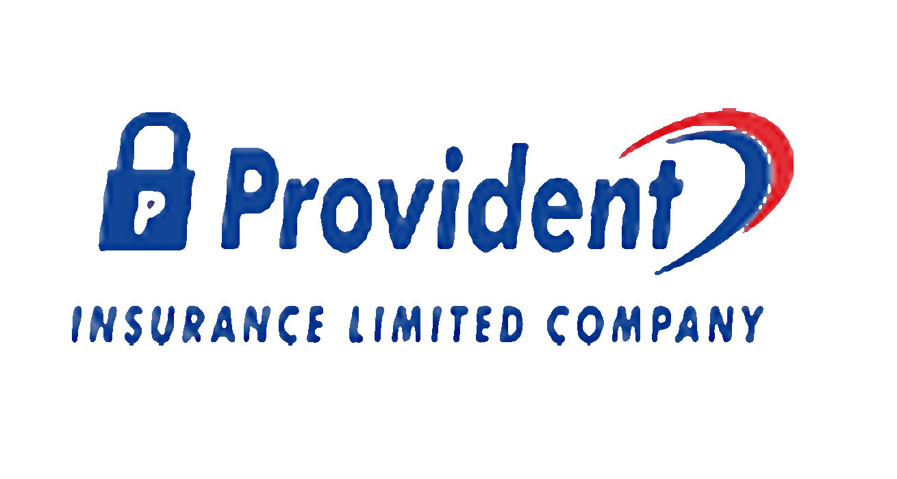 Provident Insurance